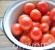 Kış için salamura domates